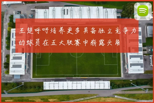 王楚呼吁培养更多具备独立竞争力的球员在五大联赛中崭露头角